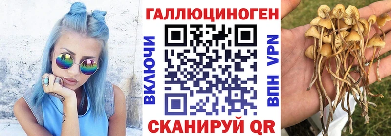 мориарти как зайти Богородск Псилоцибиновые грибы Magic Shrooms