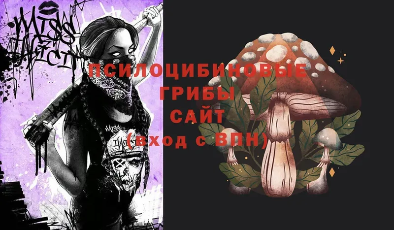 Псилоцибиновые грибы Psilocybe  купить наркотик  Богородск 