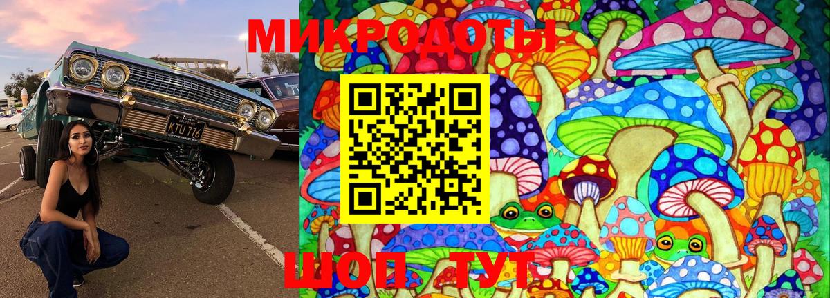 Богородск  Псилоцибиновые грибы Psilocybine cubensis  Вход с VPN 