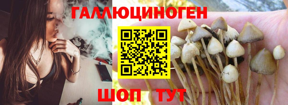 Псилоцибиновые грибы Magic Shrooms Богородск