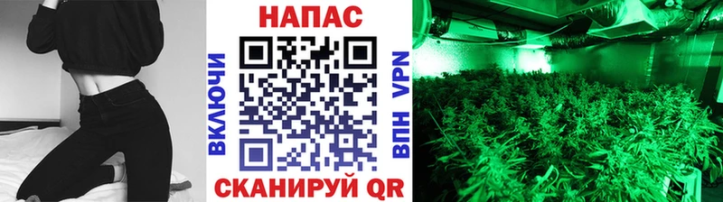 Бошки Шишки Bruce Banner  Богородск 